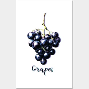 Fruit Identity, Grapes Posters and Art